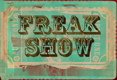 13x19 Freak Show Ticket Poster 0