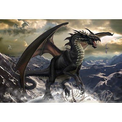 13x19 Rogue Dragon By Tom Wood Poster 0