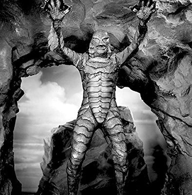 Creature From The Black Lagoon 1954 Movie Still Poster 0