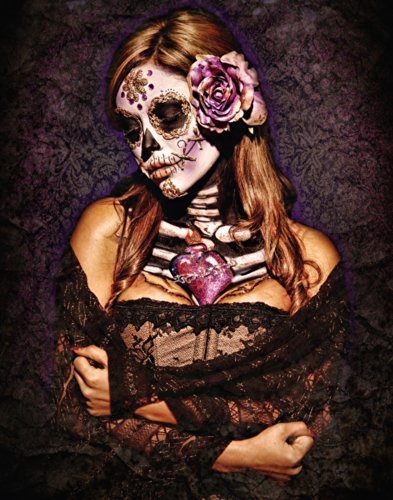 Daveed-Benito-Day-of-the-Dead-Skull-Girl-Sexy-Gothic-Pin-Up-Art-Postcard-Poster-Print-Unframed-11x14-0