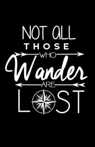 Geek Details Not All Those Who Wander Are Lost Art Print Poster (black ...