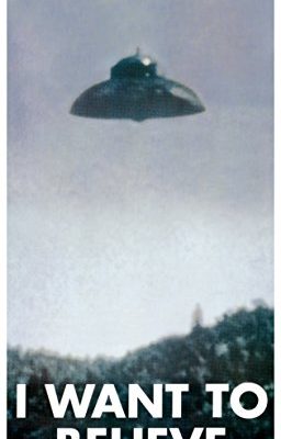 I Want To Believe X Files Ufo Alien Novelty Poster Print 12x24 0