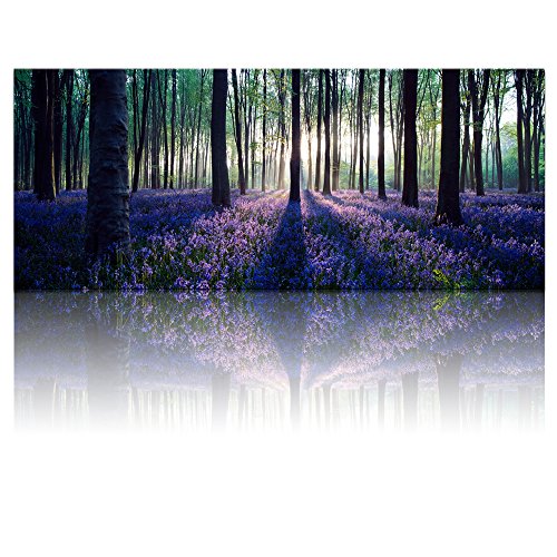 Large Size Canvas Wall Art With Framelavender Forestmild Sunshinelandscape Canvas Prints Art Wall Decor 12 Inches Thick Frameready Hanging On 0