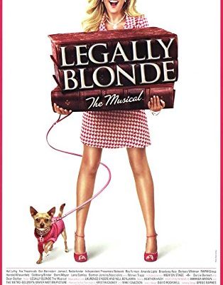 Legally Blonde The Musical Poster Broadway Theater Play 11x17 Masterposter Print 11x17 0