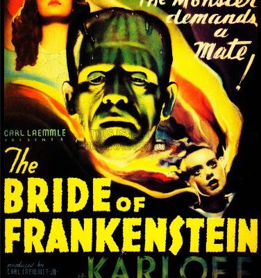 Movie Film Bride Frankenstein Boris Karloff Monster Horror Whale Usa 30x40 Cms Art Poster Print Picture Cc6382 0