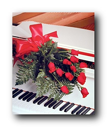 Red Roses On Piano Romantic Musical Instrument Wall Decor Art Print Poster 16x20 0