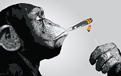 Steez Monkey Smoking A Joint Decorative Music Urban Graffiti Art Poster Print 12x24 0