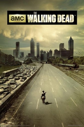 The Walking Dead Season 1 Television Poster 0