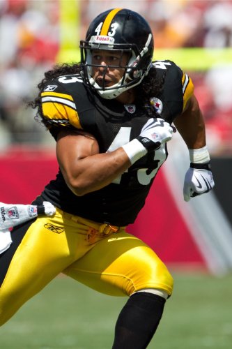 Troy Polamalu Poster Photo Limited Print Pittsburgh Steelers Nfl Football Player Sexy Celebrity Athlete Size 22x28 2 0