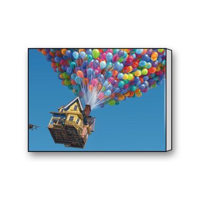 Up Pixar Animation Studios Canvas Print 16 X 12 0