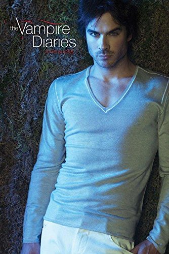 Vampire-Diaries-Damon-Fantasy-Drama-TV-Television-Show-Poster-Print-24-by-36-0