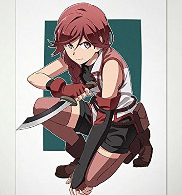 Wall Scroll Poster Fabric Painting For Anime Hai To Gensou No Grimgar Yume 13 L 0