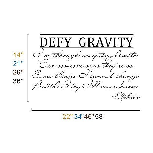 Wicked The Musical Wall Decal Elphaba Defy Gravity Vinyl Wall Art Sticker Black Small 0 0