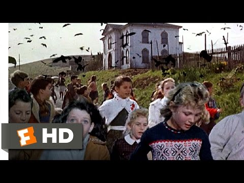 Crows Attack the Students – The Birds (6/11) Movie CLIP (1963) HD