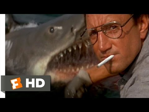 You’re Gonna Need a Bigger Boat – Jaws (4/10) Movie CLIP (1975) HD