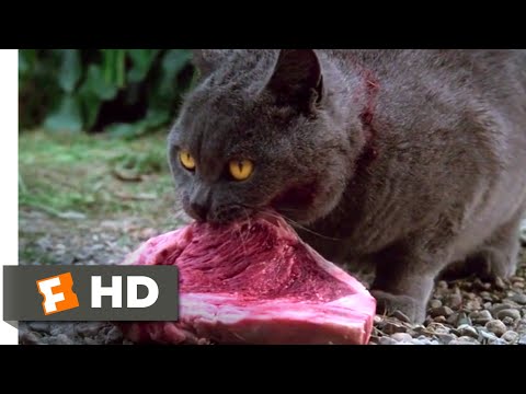 Pet Sematary (1989) – Killing Church Scene (8/10) | Movieclips