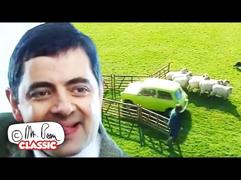 Mr Bean Shepherds Sheep | Mr Bean Funny Clips | Classic Mr Bean