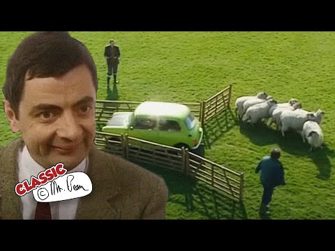 Mr Bean Meets The Sheep! 🐑 | Mr Bean Funny Clips | Classic Mr Bean