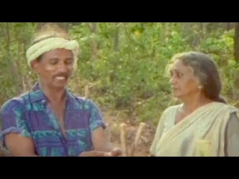 നീ കൂടുതൽ അങ്ങു പതപ്പിക്കല്ലേ | Malayalam Movie scene | Chakoram | Mamukkoya